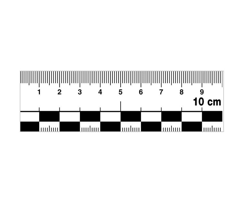 Printable Ruler 10 Cm