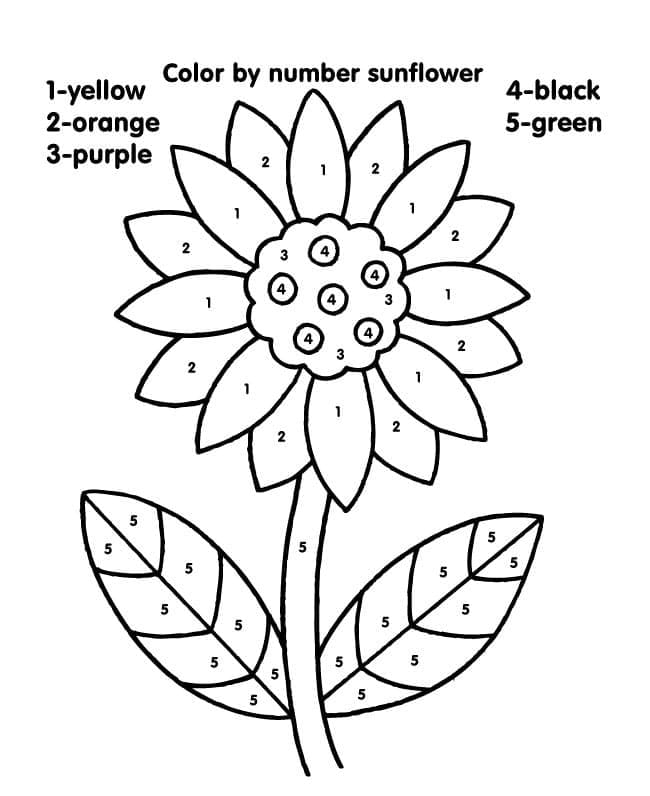 Printable Sunflower Paint By Number
