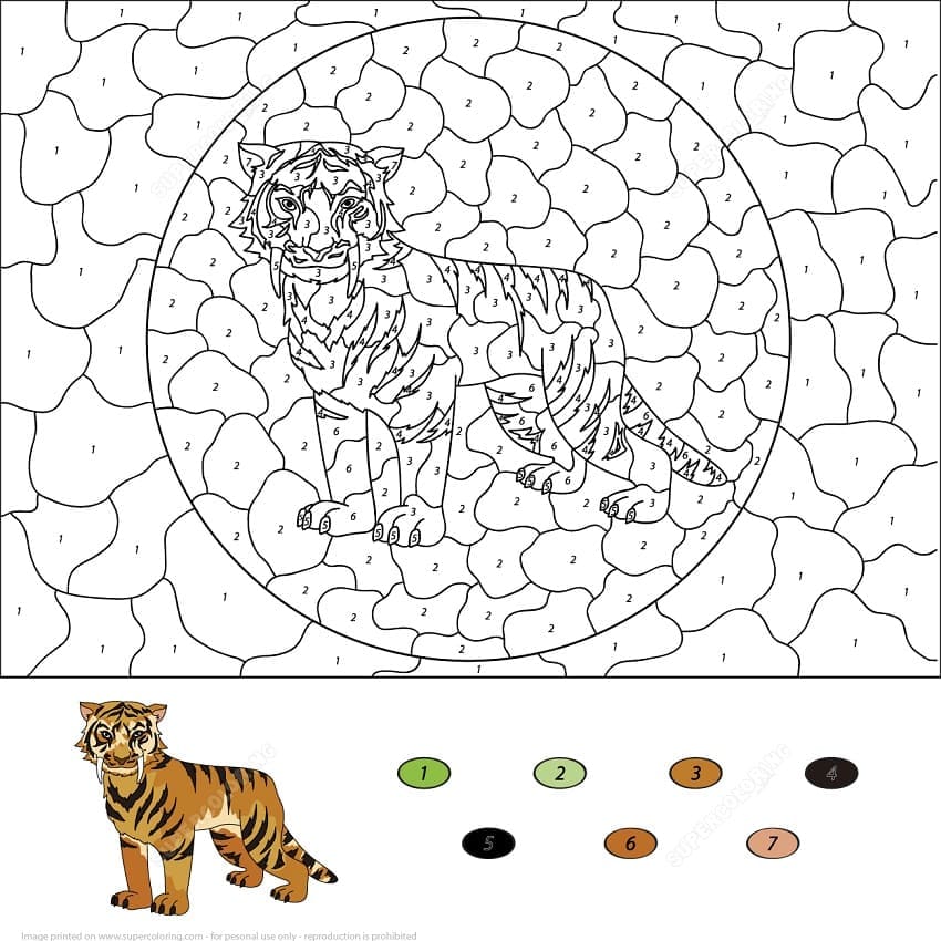 Printable Tiger Paint by Number