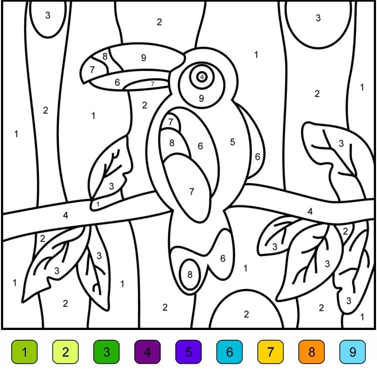 Printable Toucan Paintby Number
