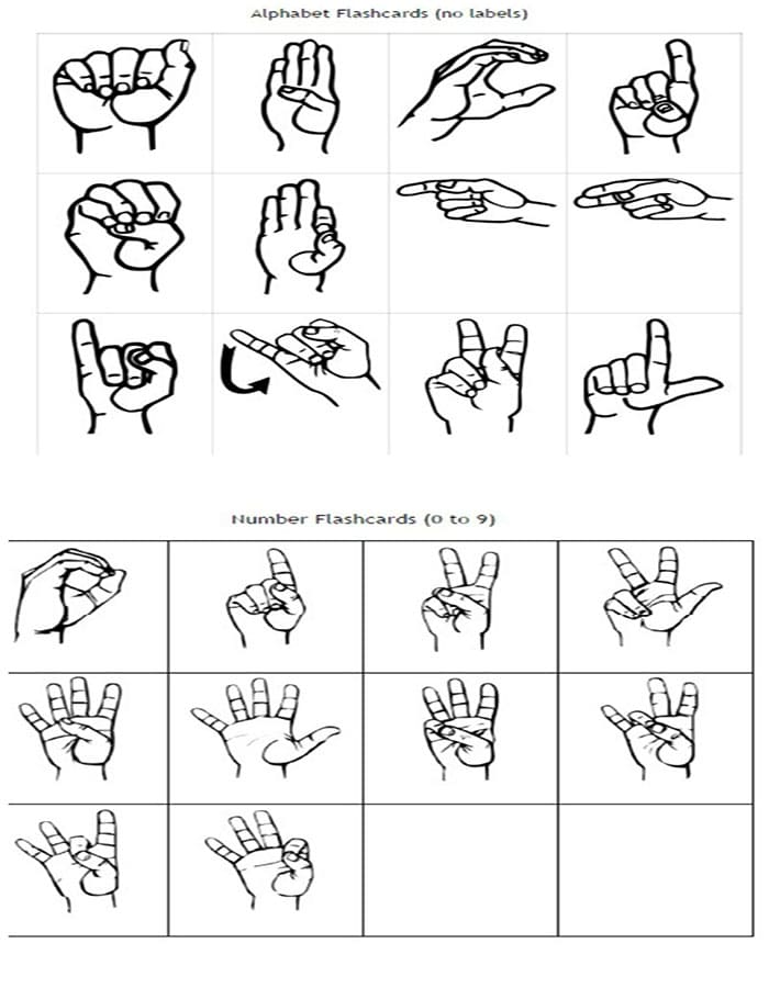 Basic Sign Language Alphabet