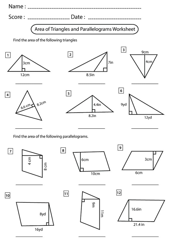 Printable Area Of A Triangle Homework