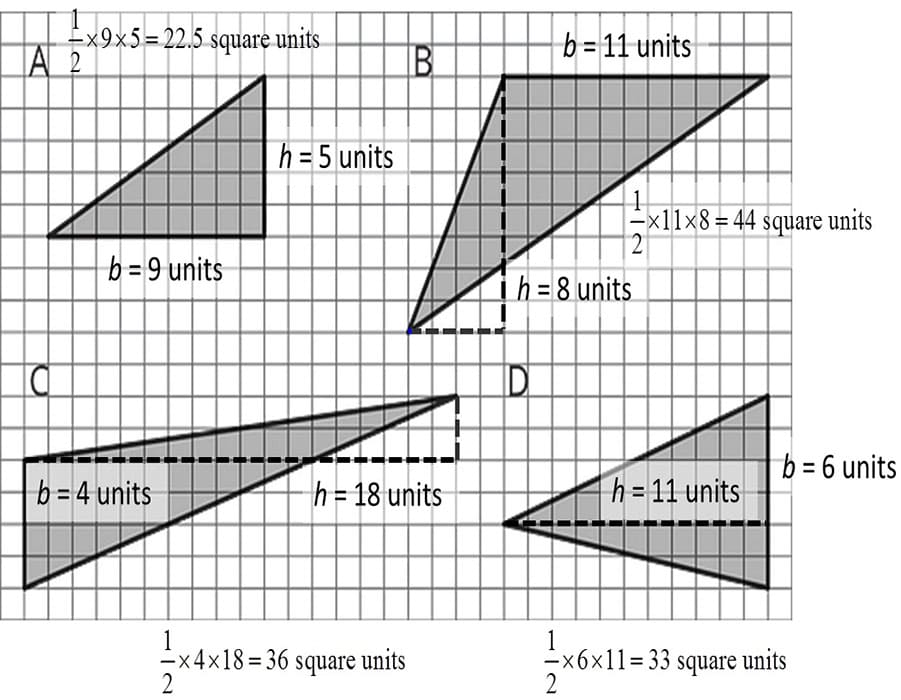 Printable Area Of A Triangle In Square Units