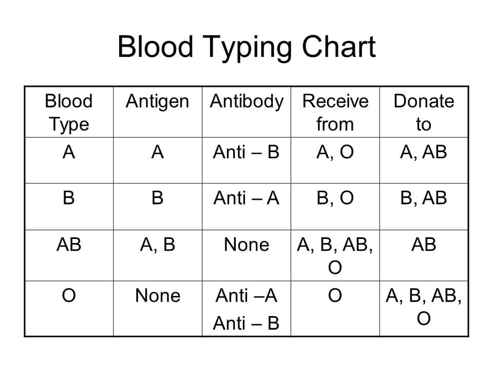 Printable Blood Type Chart Antigen Antibody