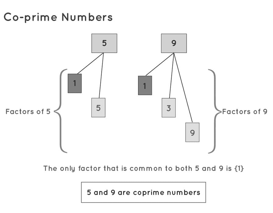 Printable Co Prime Numbers