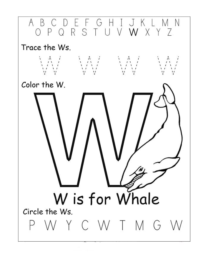 Printable Letter School Cursive W