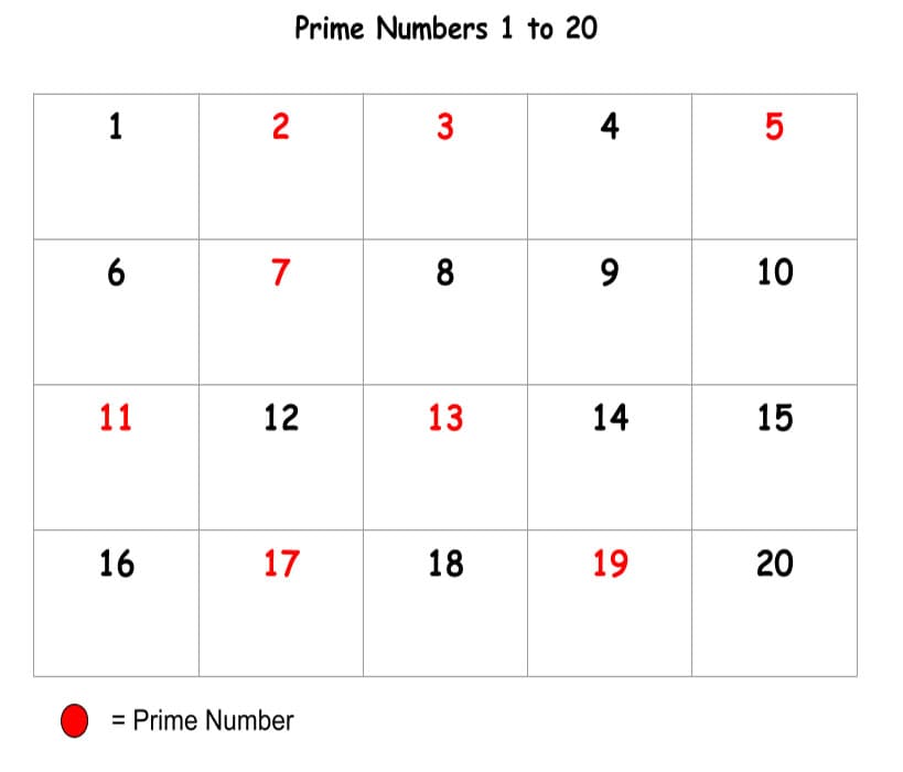 Printable Prime Numbers To 20