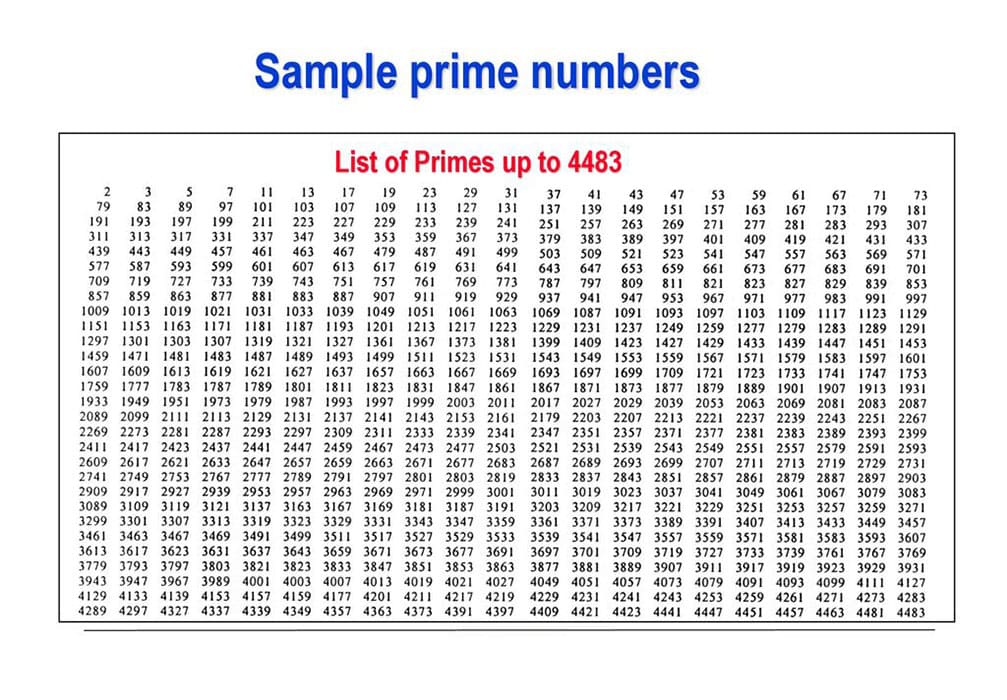 Printable Sample Of Prime Numbers