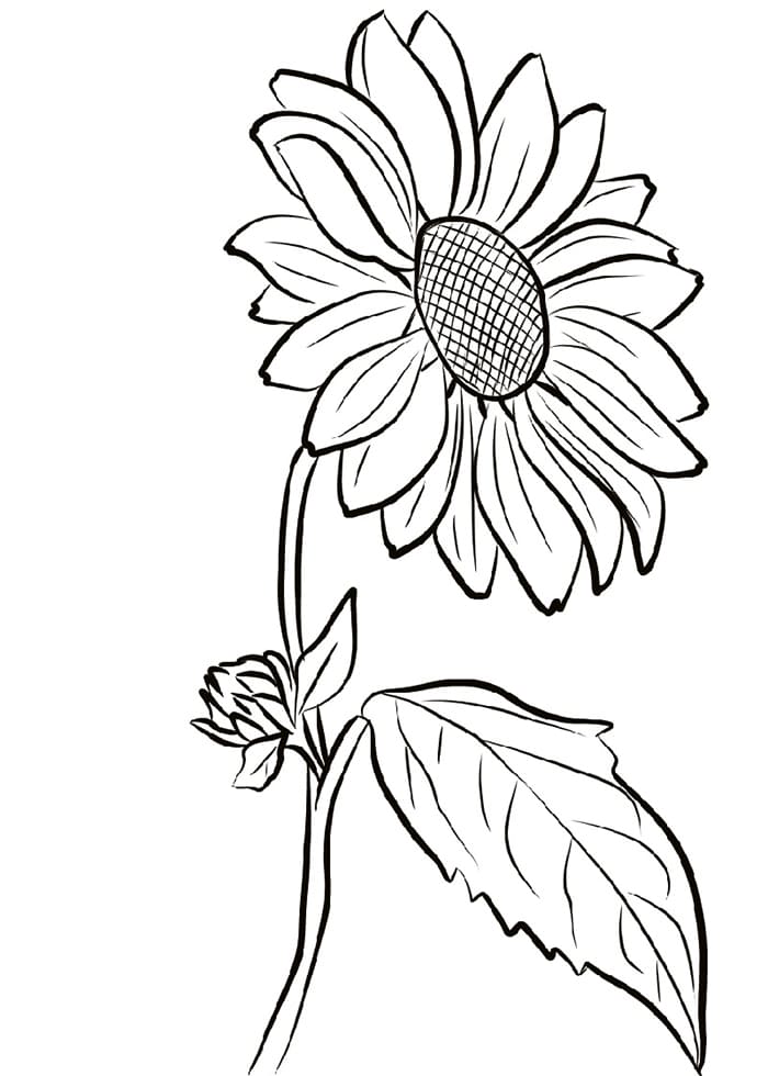 Printable Easy Sunflower Stencil