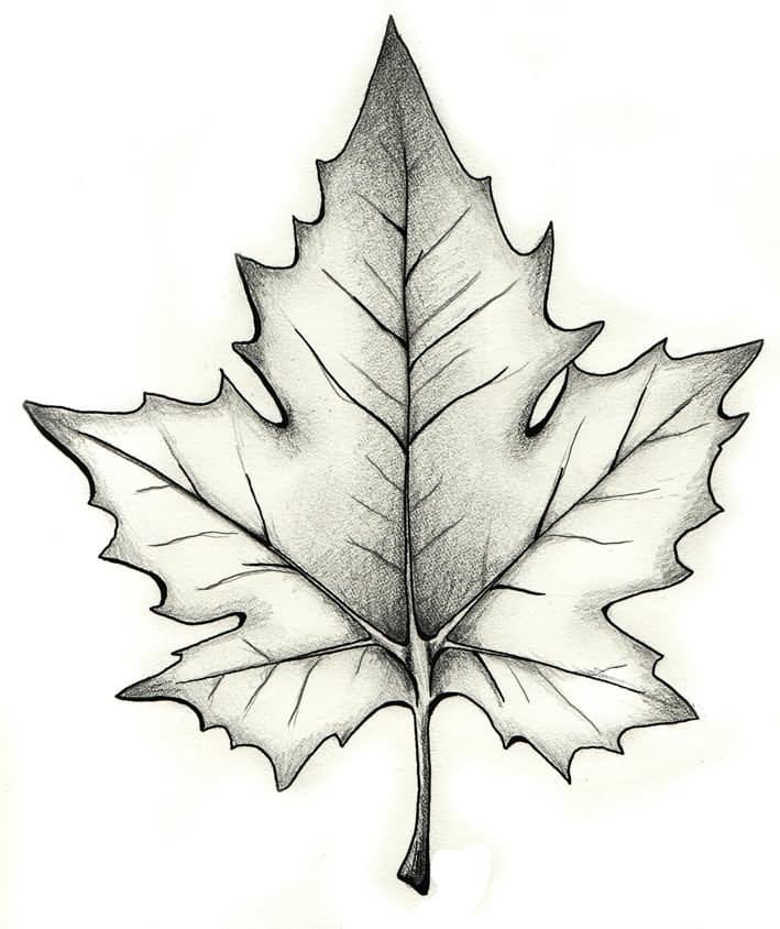 Printable Leaf Stencil Tattoo
