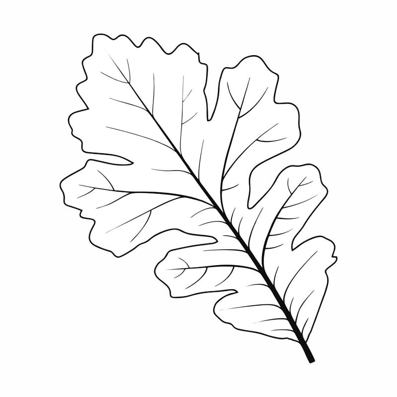 Printable Oak Leaf Stencil