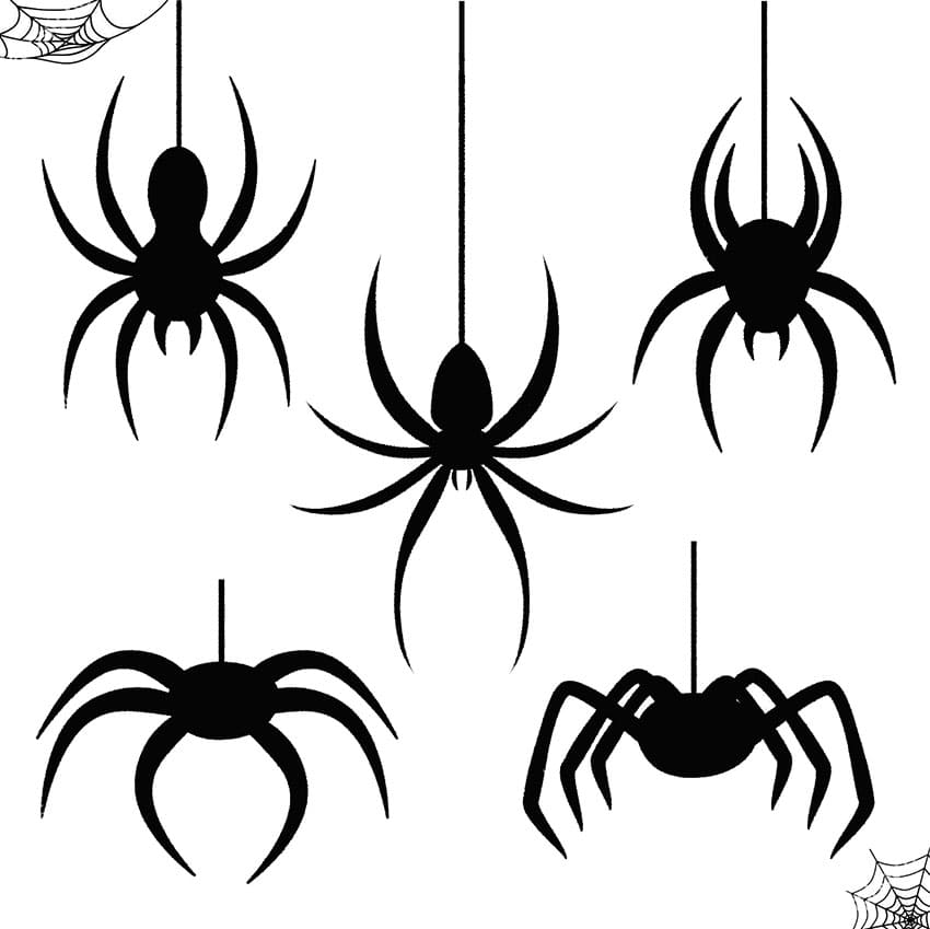 Printable Spider Halloween Stencil
