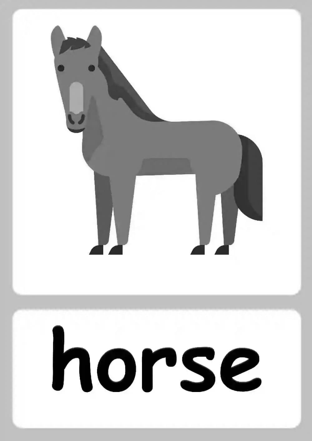 Printable Horse Color Flashcards