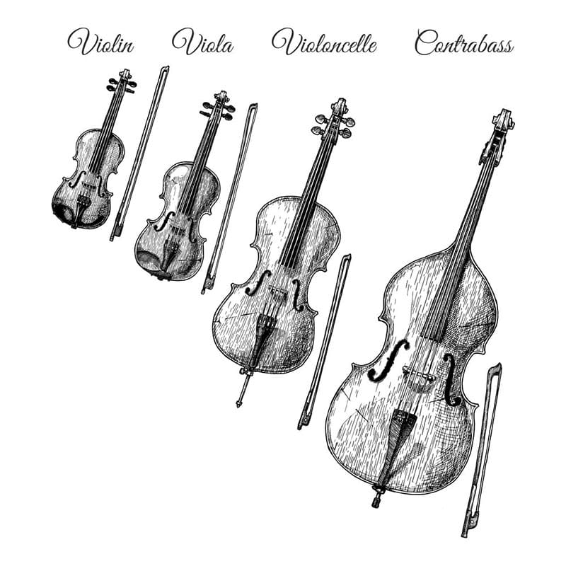 Printable Violin Family