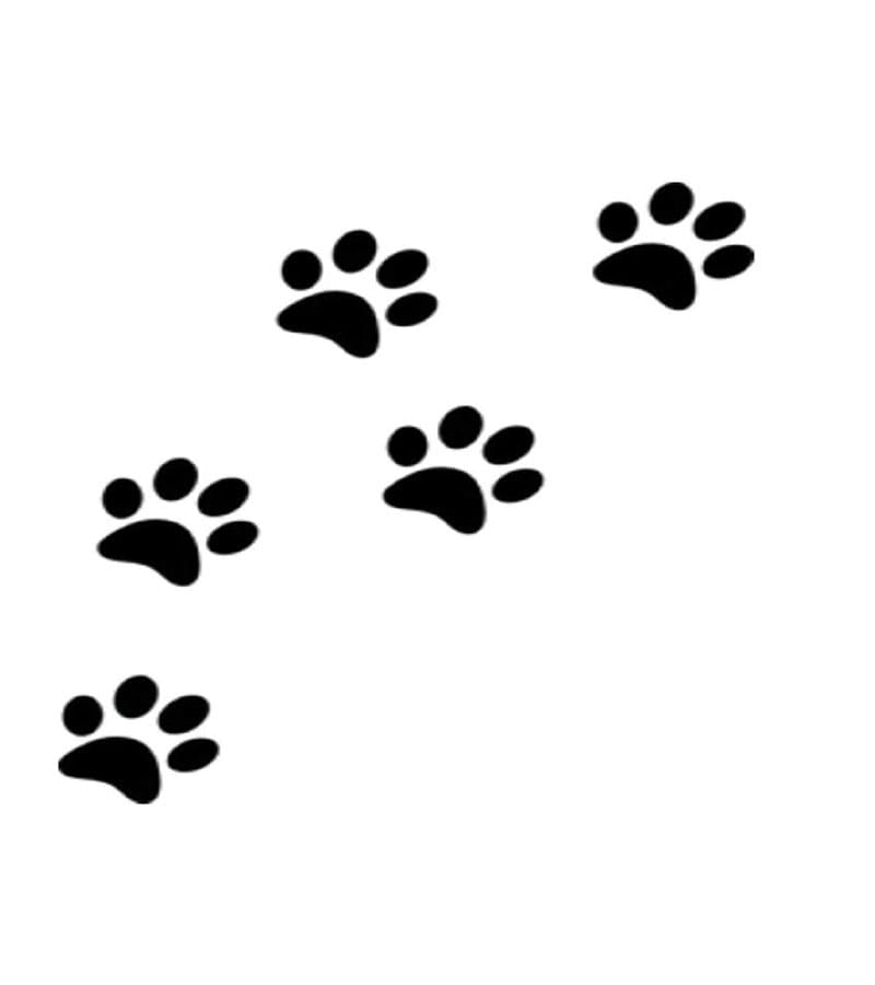 Printable Dog Footprints In The Sand