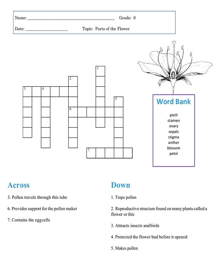 Printable Easy Crossword Puzzles Worksheets