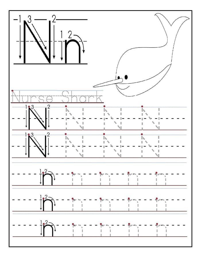 Printable Letter N Tracing Vocabulary