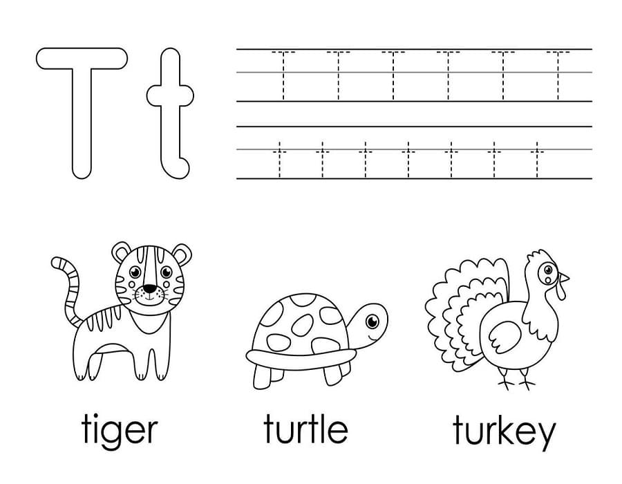 Printable Letter T Tracing Example