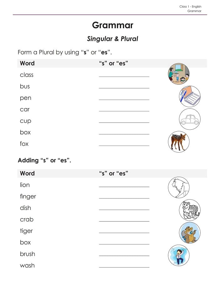 Printable Class 1 English Worksheet Singular Plural