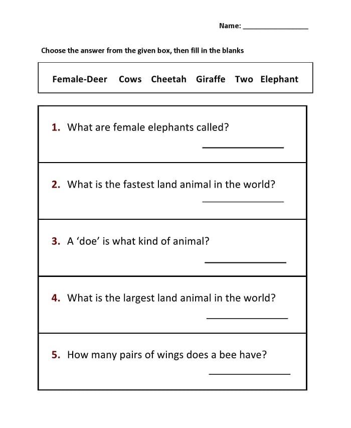 Printable Class 1 English Worksheets With Answer Key
