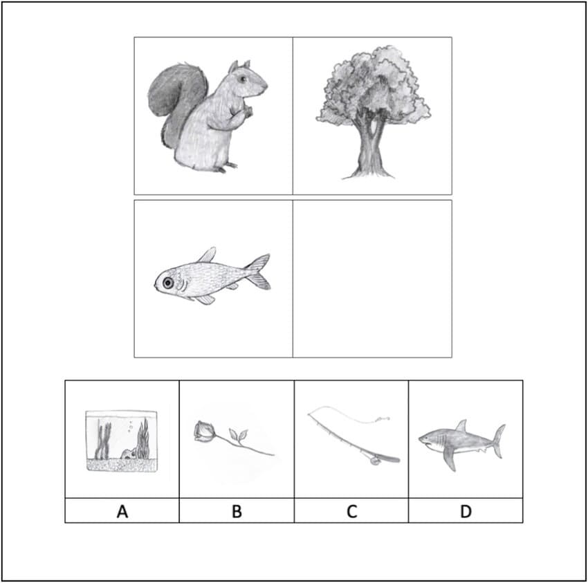 Printable Example Picture Analogy Worksheets