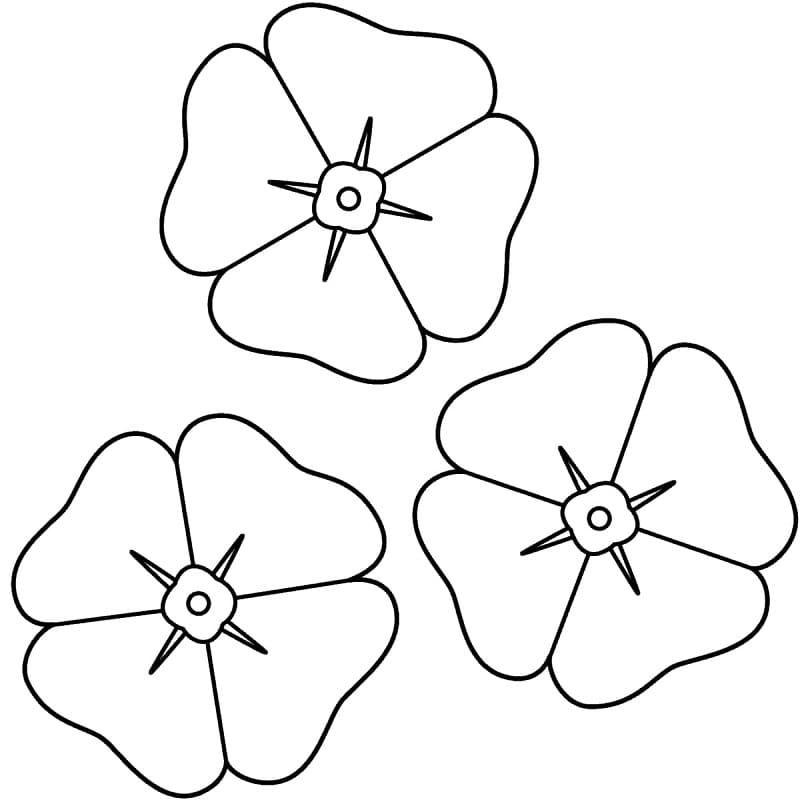 Printable Poppy Template Coloring