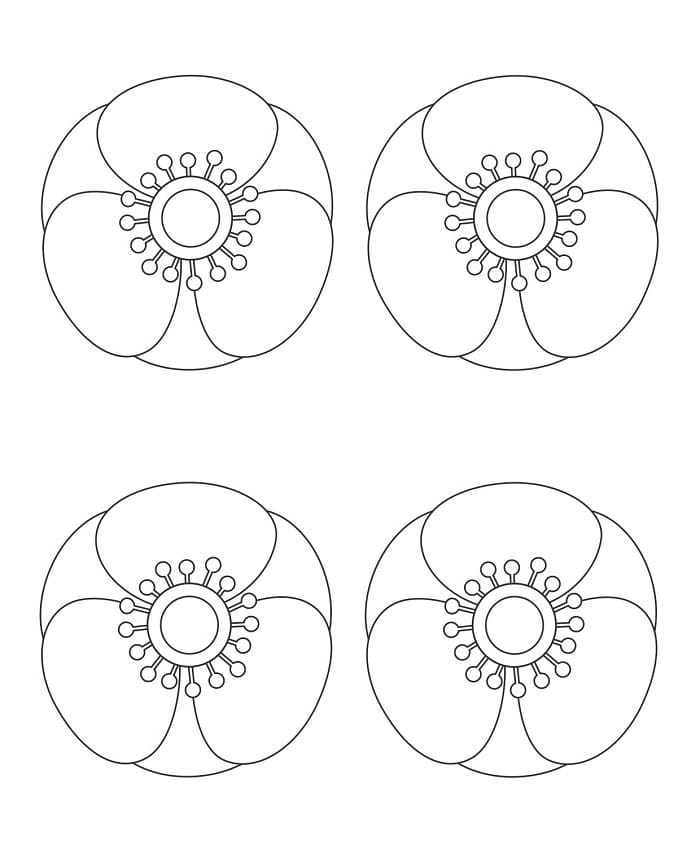 Printable Poppy Template Page