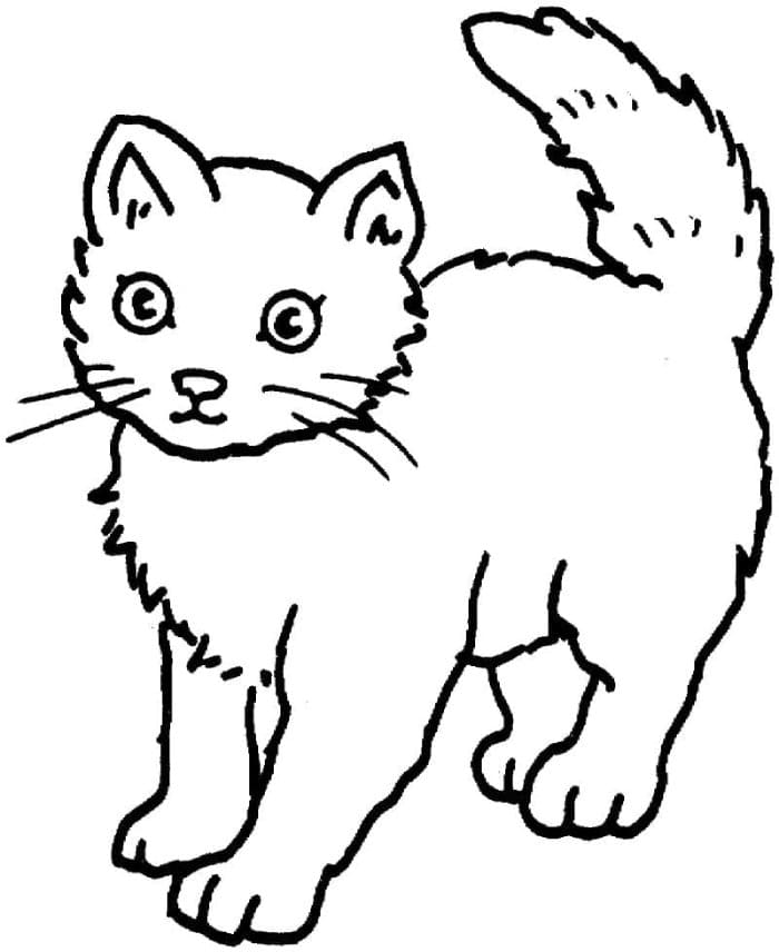 Printable A Cat Coloring Page