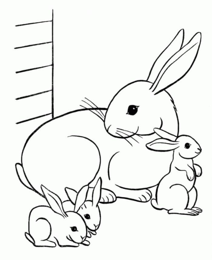 Printable A Rabbit Family Coloring Page