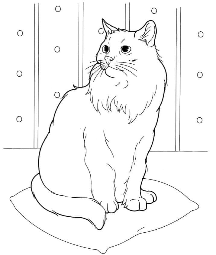 Printable A Siberian Cat Coloring Page