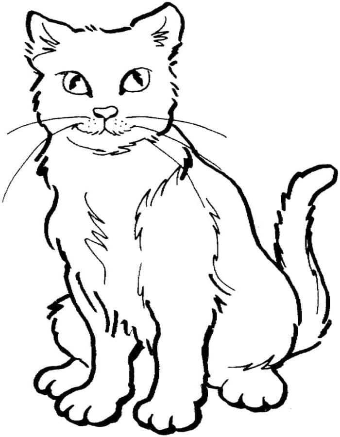 Printable A Smiling Cat Coloring Page