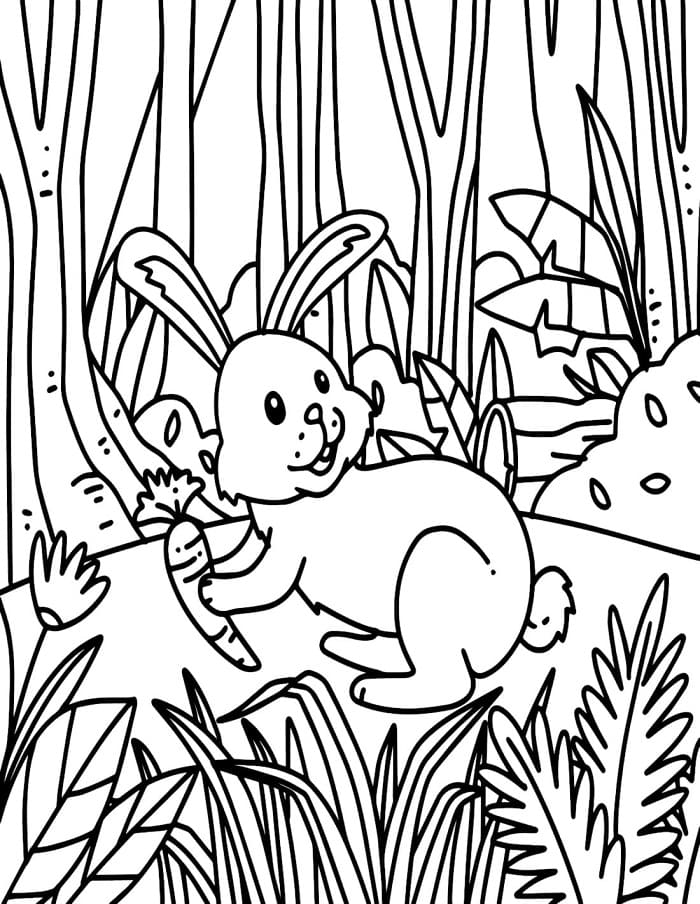 Printable A Wild Rabbit Coloring Page