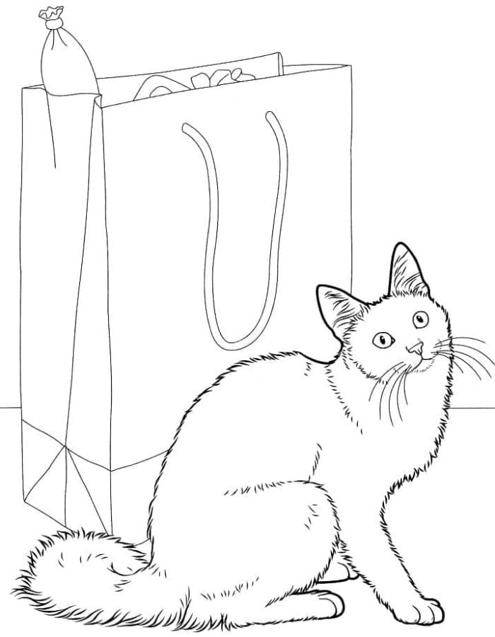 Printable Angora Cat Coloring Page