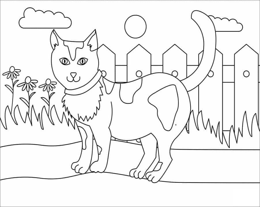 Printable Basic Cat Coloring Page