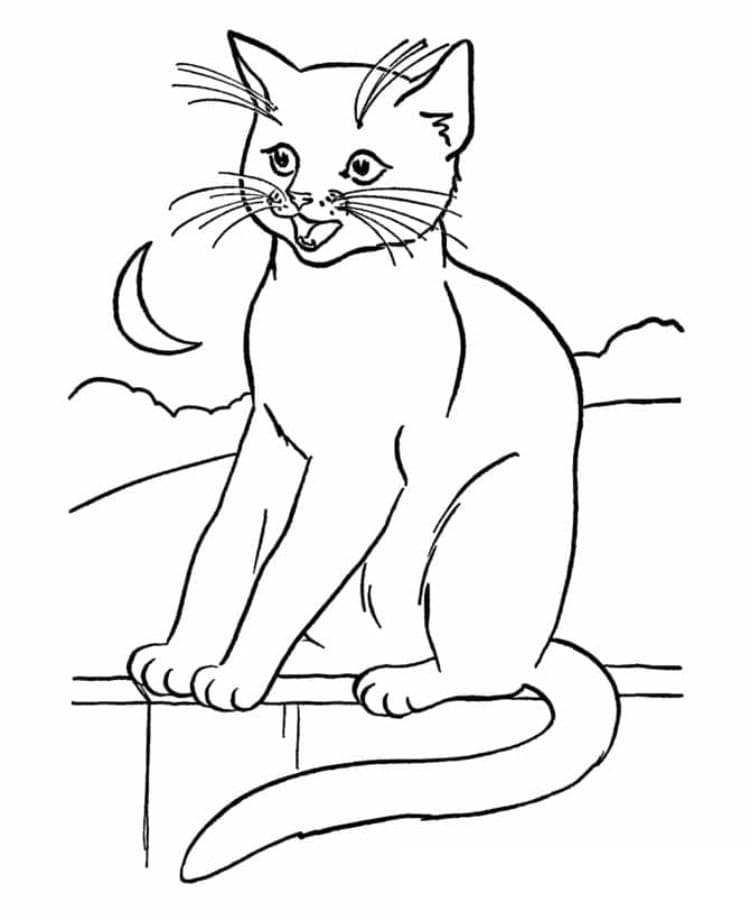 Printable Cat In Night Coloring Page