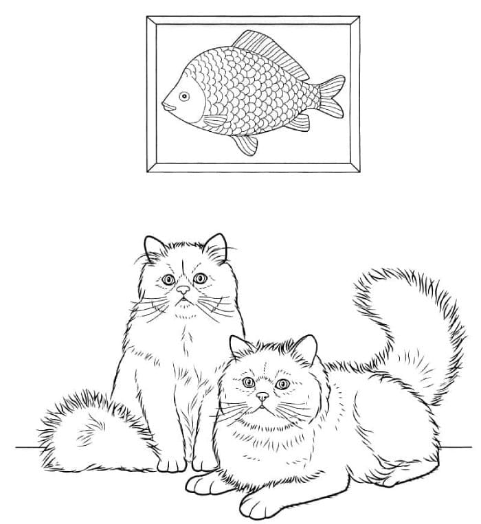 Printable Colorpoint Cats Coloring Page