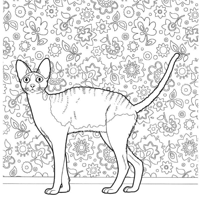 Printable Cornish Rex Cat Coloring Page