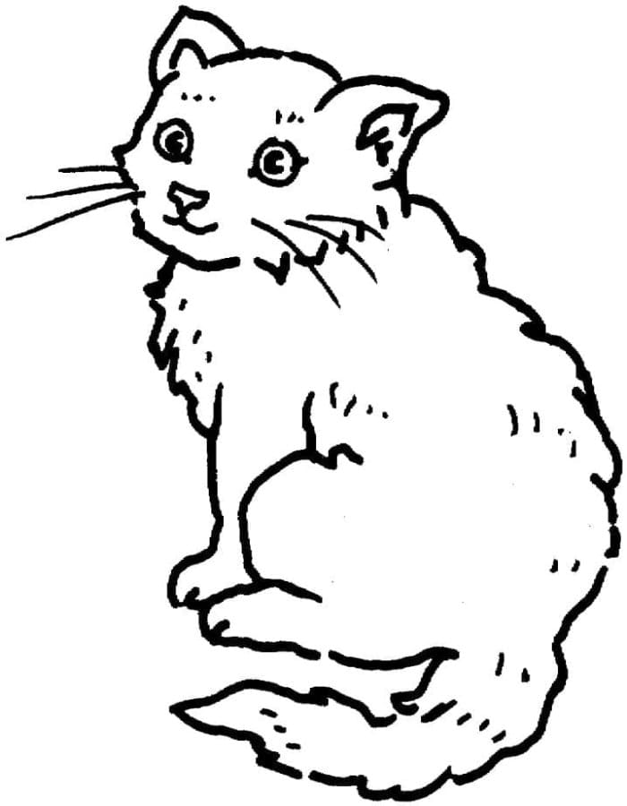 Printable Cute Cat Coloring Page