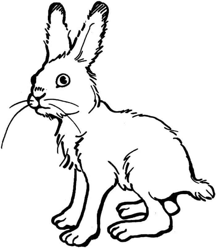 Printable Easy Rabbit Coloring Page