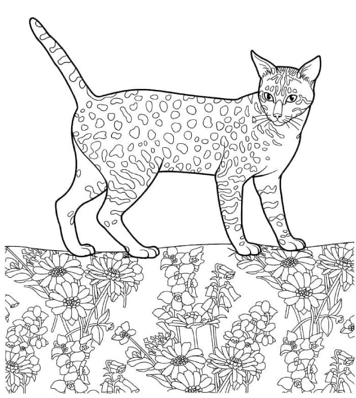 Printable Egyptian Mau Cat Coloring Page
