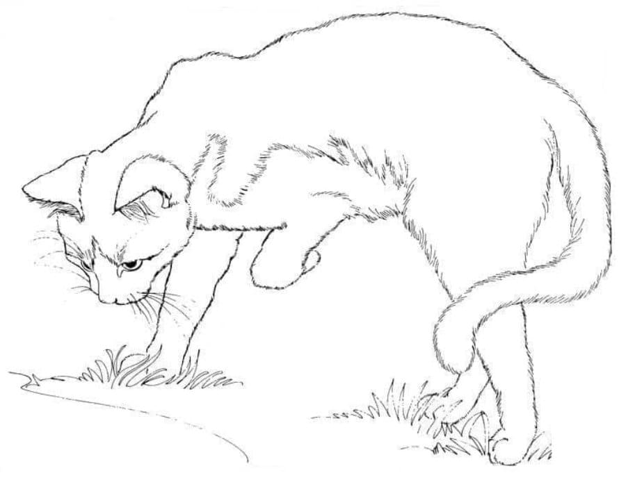 Printable Free Cat Coloring Page