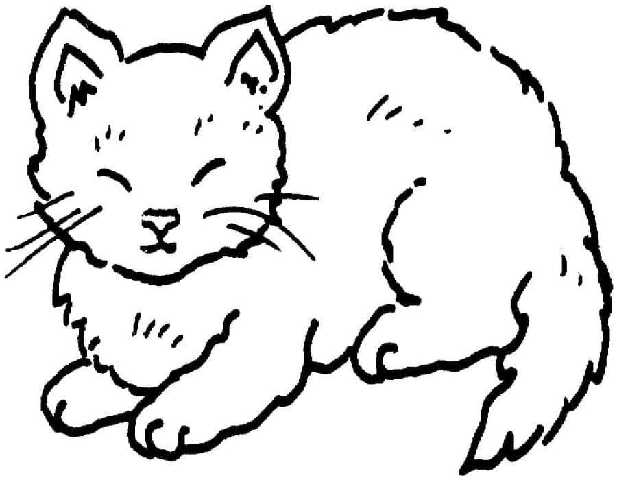 Printable Little Cat Coloring Page