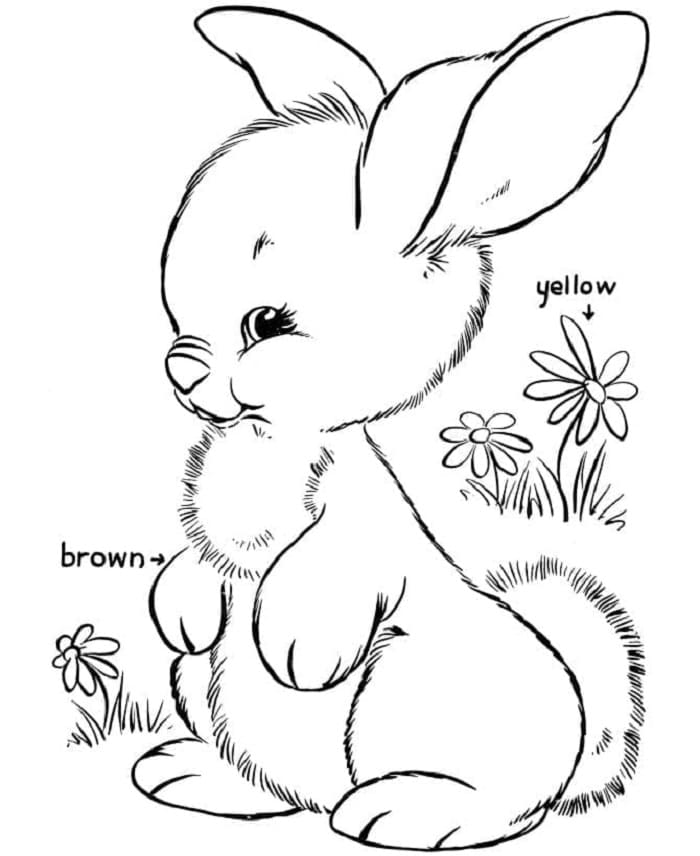 Printable Lovely Rabbit Coloring Page