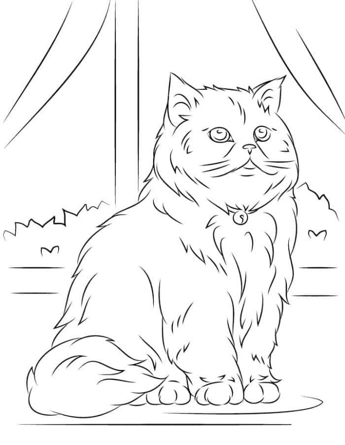 Printable Persian Cat Coloring Page