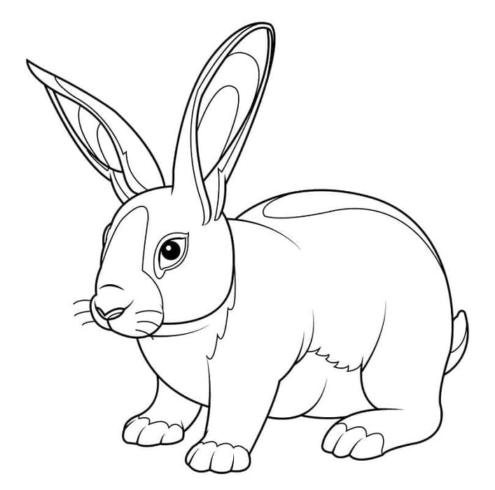 Printable Print Rabbit Coloring Page