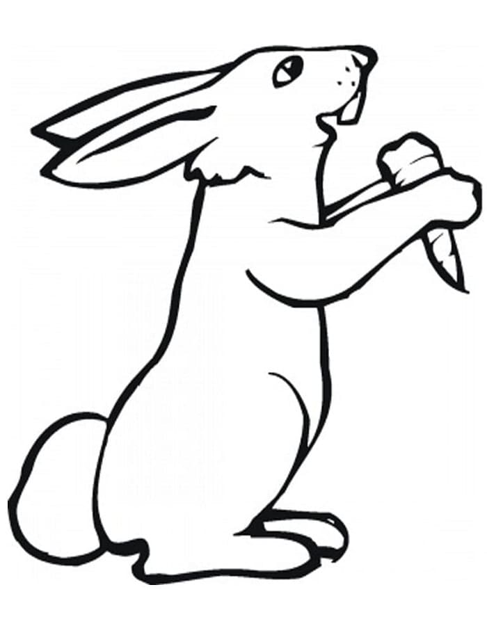Printable Rabbit And A Carrot Coloring Page