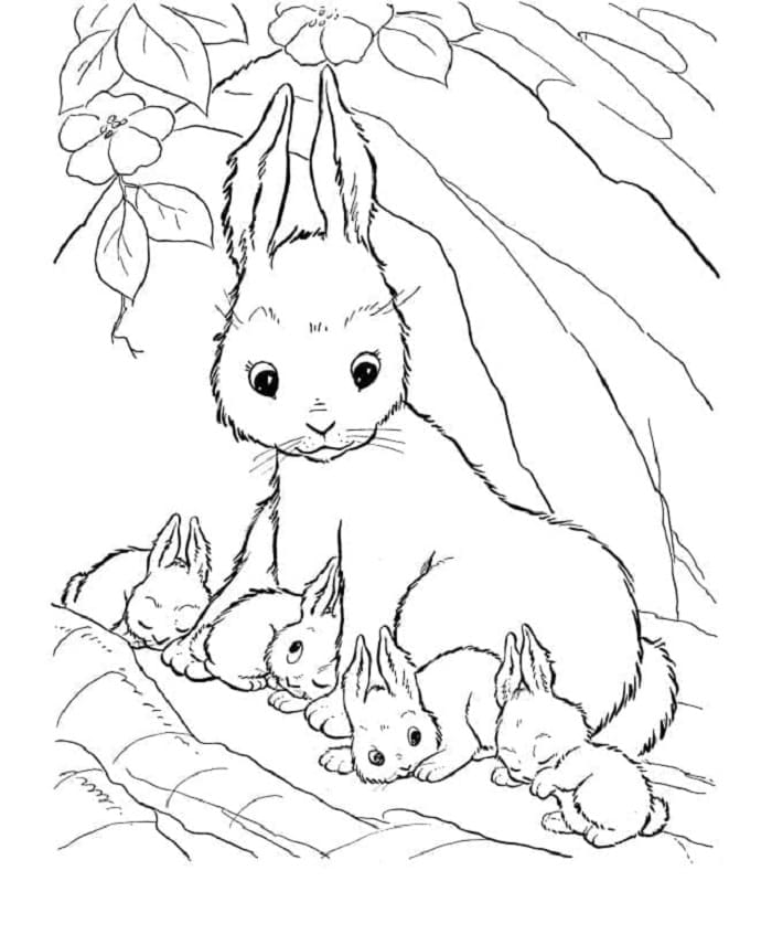 Printable Rabbit Family Coloring Page