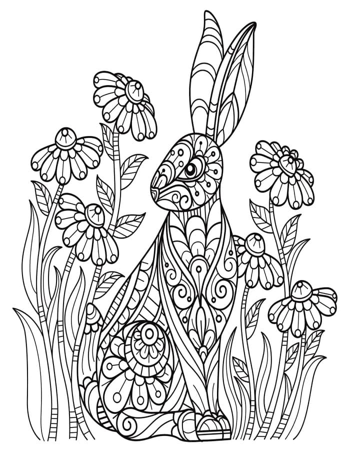 Printable Rabbit For Adults Coloring Page