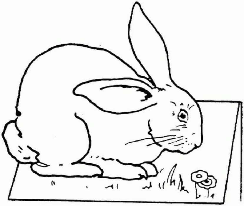 Printable Rabbit Free Coloring Page