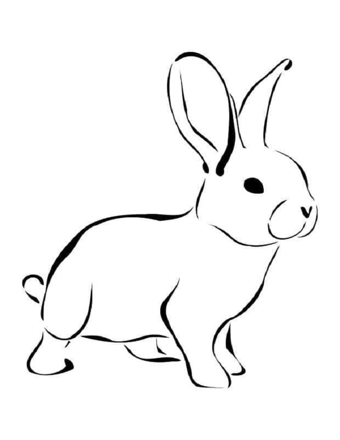 Printable Rabbit Free For Kids Coloring Page